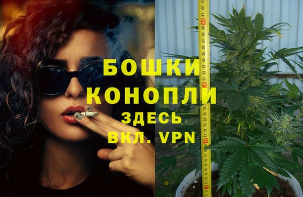 дмт Касимов