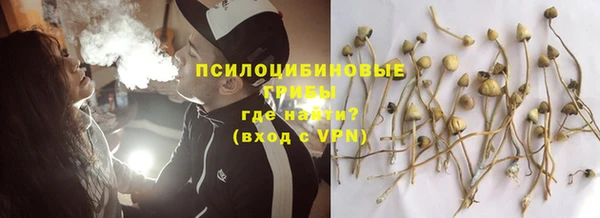 дмт Касимов