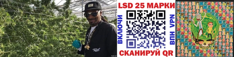 Купить где  Вышний Волочёк  Марки NBOMe 1,5мг 