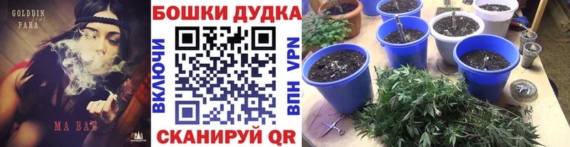 Купить где  Вышний Волочёк  Бошки марихуана White Widow 